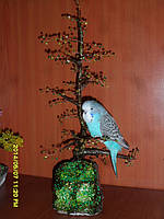 Наші Виставкові папуги ЧЕХІ. 29