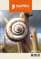 Этикеток на листе A4 (24шт.(R) размером 64х34мм) SAPRO, закругленные углы