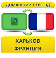 Домашній переїзд із Харкова до Франції
