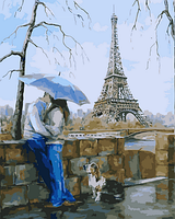 VP 731 Розпис по номерам на полотні 40х50см