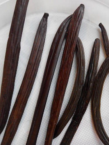 Купить Ваниль в стручке 2 шт, цена 130 грн — Prom.ua (ID#490183157)