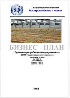 Бизнес-план (ТЭО). Овощехранилище. Плодоовощехранилище. Хранение плодов яблок, овощей борщового набора.РГС,ULO Средний бизнес, Овощехранилище. Овощи борщового набора (картофель, лук, свекла, морковь, капуста), 32000 т.