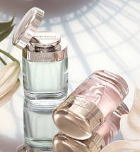 Cartier Baiser Vole туалетна вода 100 ml. (Картьє Поцілунок Полівка), фото 2