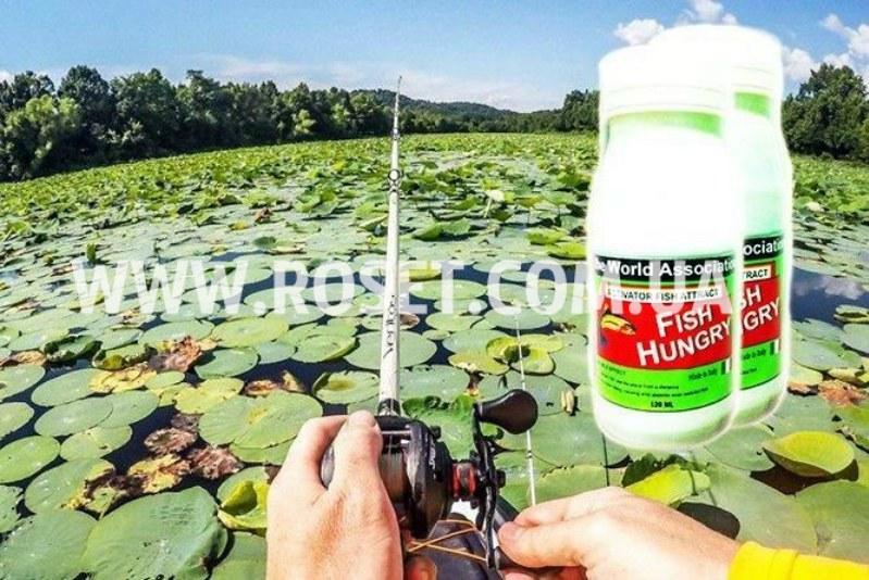 Підсилювач прикормки для риб - Fish Hungry 120 мл