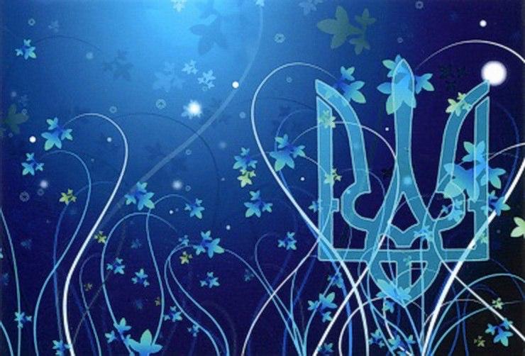 Обкладинка обкладинка на паспорт Тризуб Герб тризуб Україна Україна Pasport, фото 1