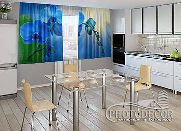 Фото Штори для кухні "Блакитні орхідеї" 1,5м*2,0м (2 полотна по 1,0м), тасьма