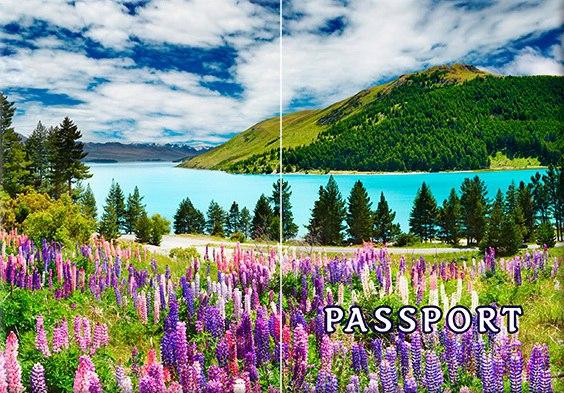 Обкладинка обкладинка на паспорт Абстракт природа квіти abstract Прикраса Україна Pasport, фото 1