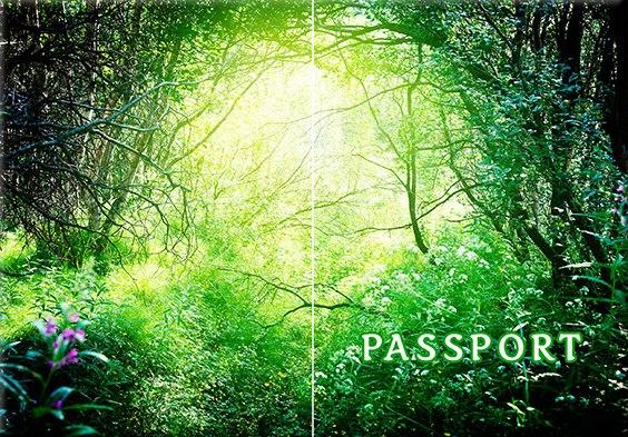 Обкладинка обкладинка на паспорт Абстракт природа квіти abstract Прикраса Україна Pasport, фото 1