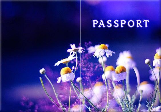 Обкладинка обкладинка на паспорт Абстракт ромашка квіти abstract України Україна Pasport, фото 1