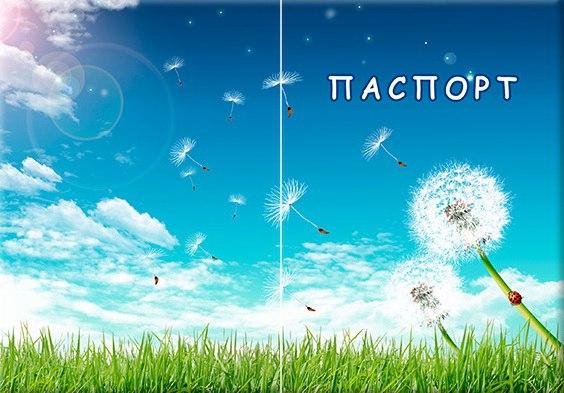 Обкладинка обкладинка на паспорт природа кульбаби Україні Україна Pasport, фото 1