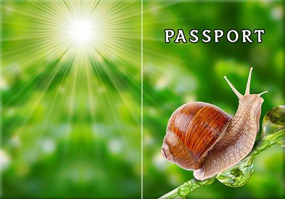 Обкладинка обкладинка на паспорт Ралитка Україні Україна Pasport, фото 1