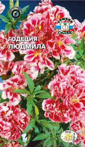 

Семена Годеция Людмила 0,1 грамма Седек, Разные цвета