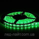 Світлодіодна стрічка 12V 5050(60LED/м) IP65, фото 5