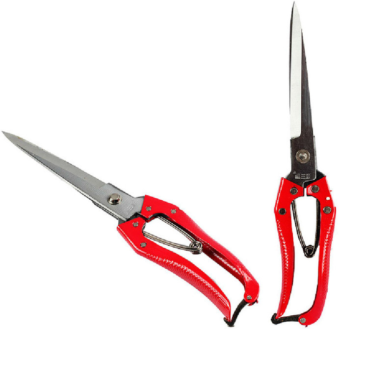 Ножиці для стрижки овець, фото 1