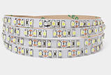 Світлодіодна стрічка LED Biom 2835-120 IP20 холодний білий, негерметична, 1 м, фото 2