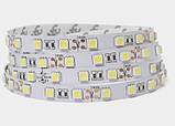 Світлодіодна стрічка LED Biom 5050-60 IP20 холодний білий, негерметична, 1 м, фото 3