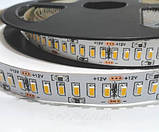 Світлодіодна стрічка LED Biom 2835-240 IP20 теплий білий, негерметична, 1 м, фото 2
