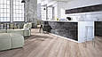 Kronopol Excellence D2593 Дуб Белфаст ламінат, фото 8