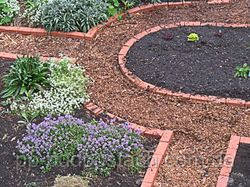 Регулярне планування ділянки