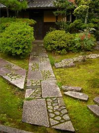 Пейзажна планування ділянки