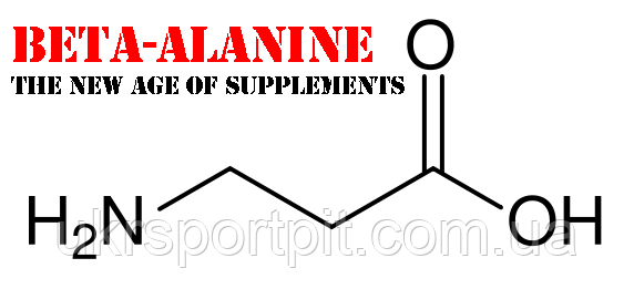 Beta-Alanine (Бета-Аланин) 100 г - фото 5 - id-p36722887