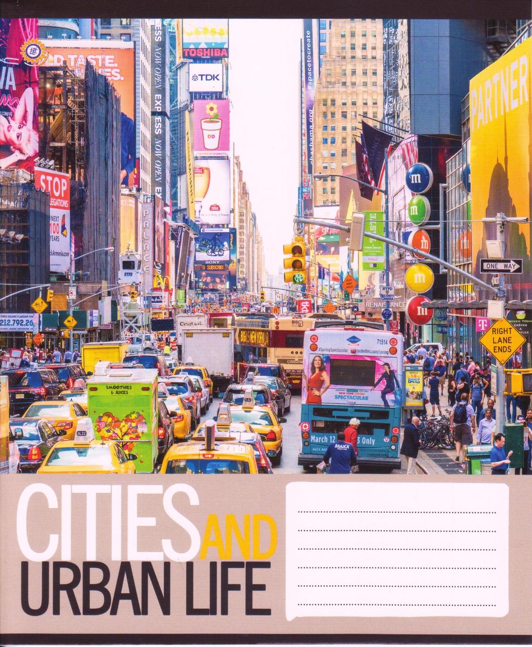 Зошити 48 арк. клітка "Cities and Urban Life" 794787
