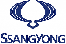 Чохли салону Ssang Yong