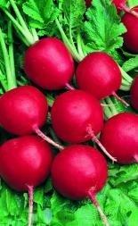 Редис Рубін 1 кг