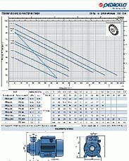 Насосна станція Pedrollo HF JSWm 2CX /24CL (JSWm10MX/24), 0.75 кВт, 4,2 м3/год, 50 м, фото 4