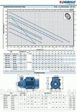 Насосна станція Pedrollo HF JSWm 2CX /24CL (JSWm10MX/24), 0.75 кВт, 4,2 м3/год, 50 м, фото 6
