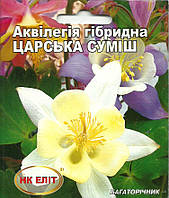 Аквілегія гібрид "Царська"