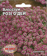 Алиссиум "Розі О'дей"