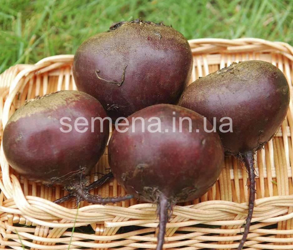 Свекла столова Ред Бул 1 кг, фото 1