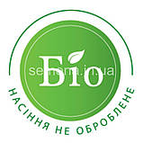 Цибуля Швейцарський Гігант 0,5 г, фото 3