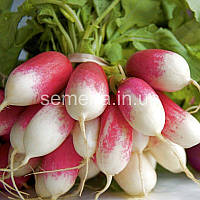 Редис кімнатний Дует 0,1 г