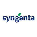 Буряк столова Фороно 100 000 шт, фото 3