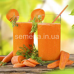 Морква Морква для корисного соку 400 шт