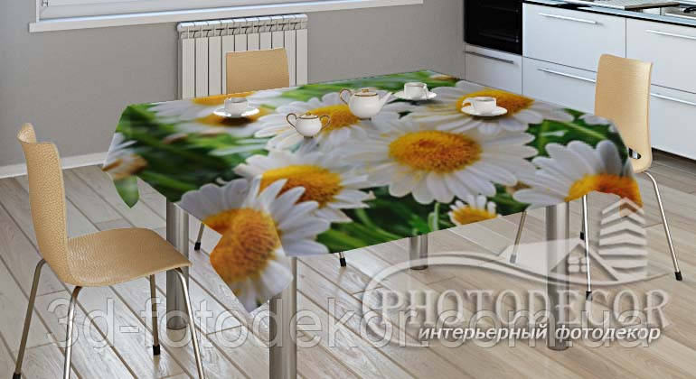 3D-Фото скатертину "Білі ромашки"