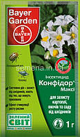 Конфідор Максі, в. р. 1 г