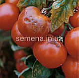 Консенто 450 SС л.с. 100 мл, фото 3