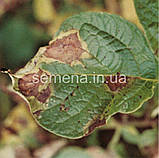 Консенто 450 SС л.с. 100 мл, фото 4