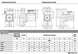 Насос циркуляційний Wilo TOP-RL 25/7.5 (Оригінал), фото 3