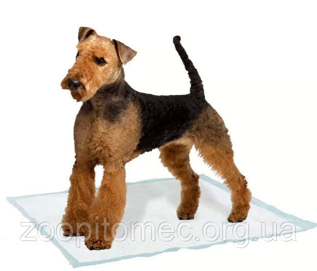 Пелюшки для собак GENICO MEDIUM 10 шт, фото 1