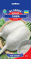 Даша Саша