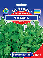 Коріандр Бурштин