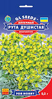 Рута Запашна