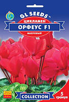 Цикламен Орфеус F1 серия Collection