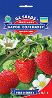 Ремонтантна суниця Барон Солемахер
