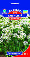 Лук Запашний