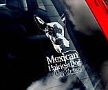 Шолоїтцкуінтлі (Шоло) (Ксоло) Мексиканський голий собака стикер, фото 2